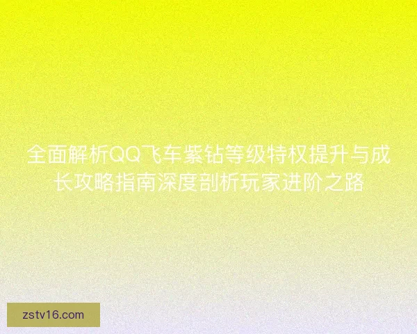 全面解析QQ飞车紫钻等级特权提升与成长攻略指南深度剖析玩家进阶之路